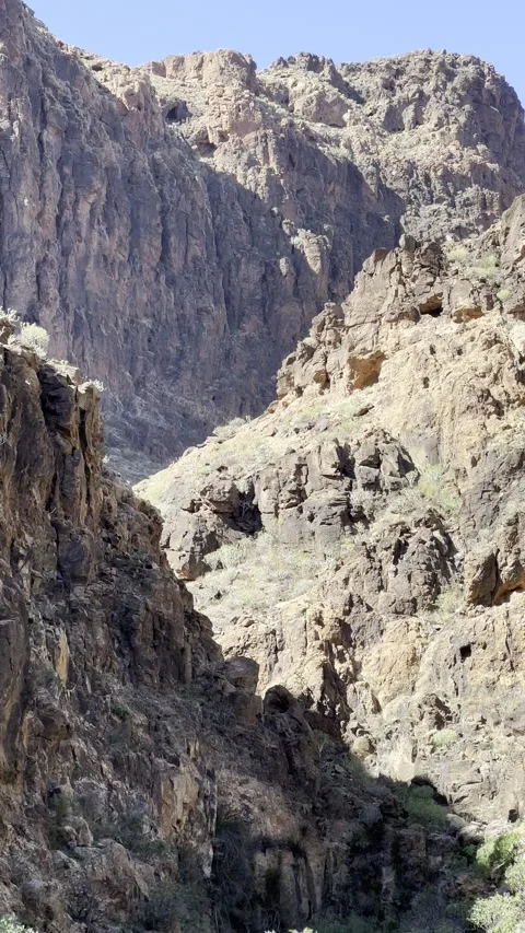 IMG 1389 Stock Footage 326640890