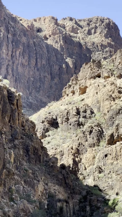 IMG 1391 Stock Footage 326640897