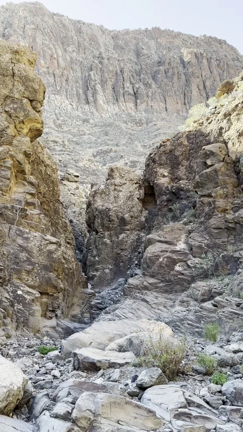 IMG 1392 Stock Footage 326640896