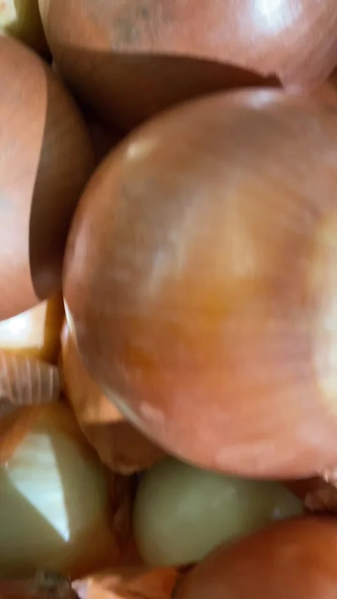 IMG 1421 (as) Stock Footage 329503703