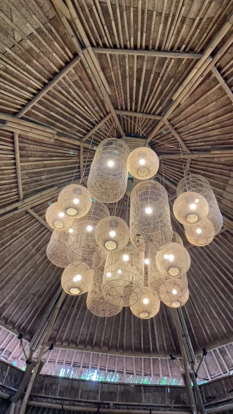 IMG 1462 (as) Stock Footage 329503710