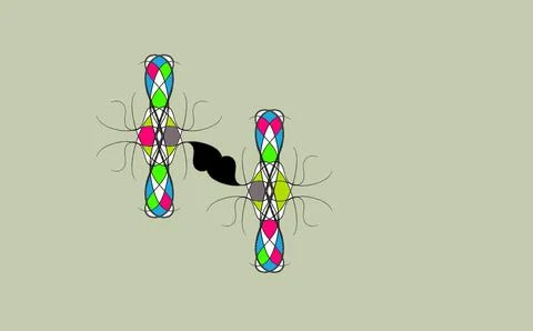 IMG 1596 Stock Illustration