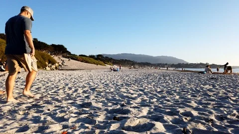 IMG 1655 Stock Footage 119455071