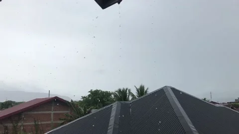 IMG 1742 Stock Footage 213801709