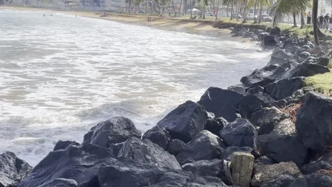 IMG 1836 Video stock 259505728