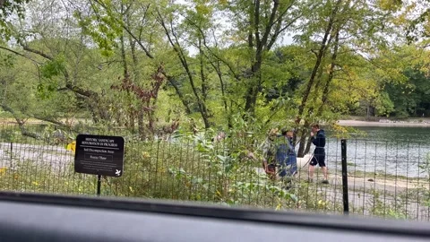 IMG 1893 Stock Footage 229562926