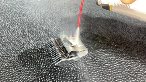 IMG 1909 Stock Footage 309533722