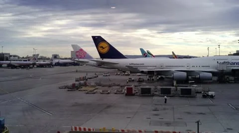 IMG 1972 Stock Footage 10565161