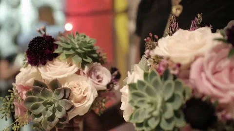 IMG 2090 Stock Footage 172436945