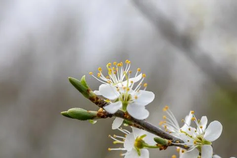 IMG 2111 스톡 사진