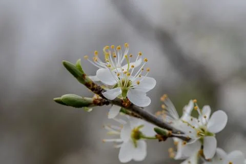 IMG 2113 스톡 사진