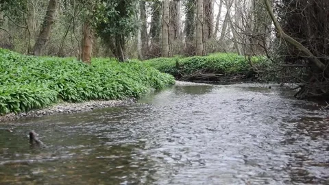 IMG 2119 Stock Footage 331266891