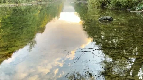 IMG 2171 Stock Footage 163650859