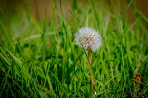 IMG 2184 写真素材