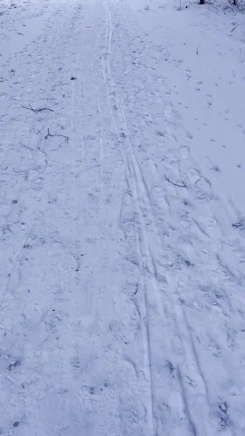 IMG 2202 Video stock 325727340