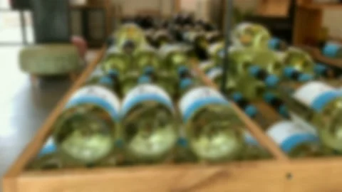 IMG 2318-blur Stock Footage 146560165