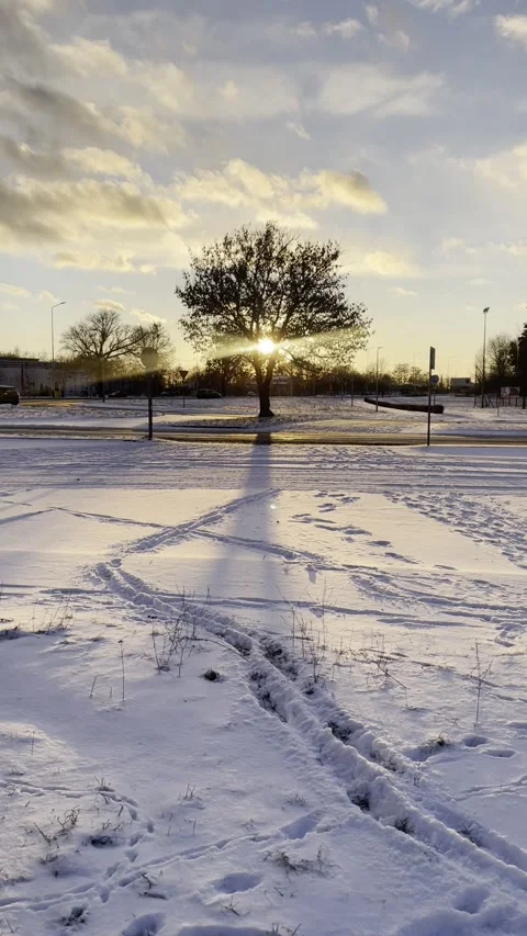 IMG 2335 Video stock 325727367