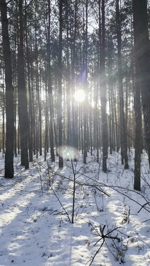 IMG 2336 Video stock 325727371