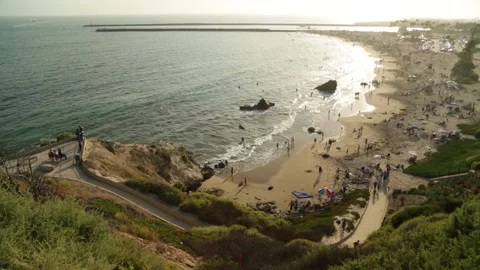 IMG 2358 Stock Footage 232747029