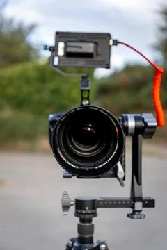 IMG 2467 Stock Photos