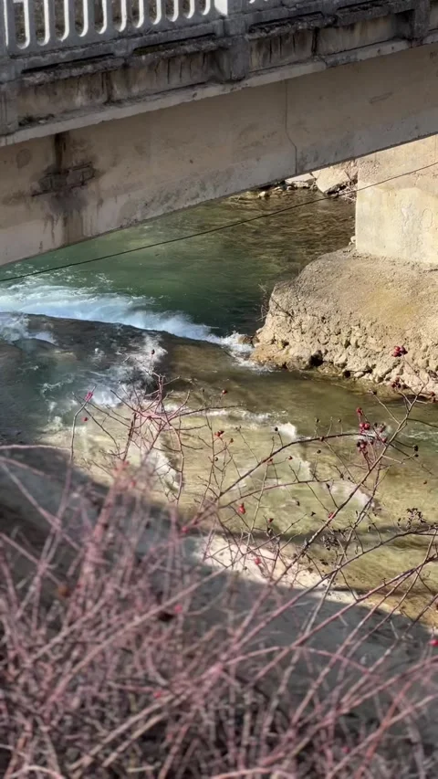 IMG 2472 Stock Footage 235337223