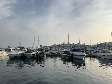 IMG 2579 Stock Footage 308724147