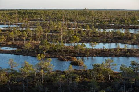 IMG 2585 Stock Photos