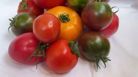 IMG 2779 動画素材 202212383