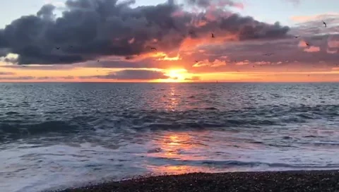 IMG 2806 Stock Footage 149649179