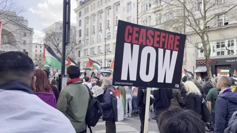 IMG 2874 Stock Footage 270971436