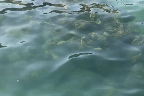 IMG 3210 库存照片