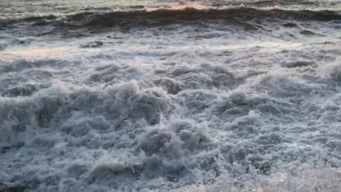 IMG 3277 Stock Footage 149958209