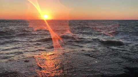 IMG 3288 Stock Footage 149958564