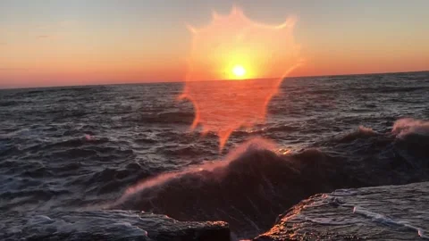 IMG 3290 Stock Footage 149958511