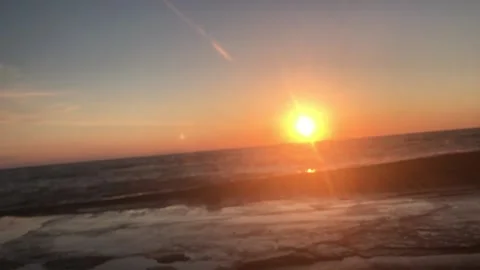 IMG 3295 Stock Footage 149957691