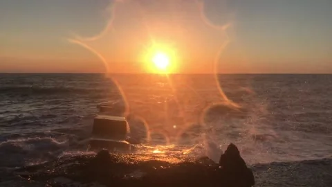 IMG 3296 Stock Footage 149957353