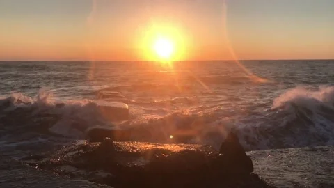 IMG 3299 Stock Footage 149957294