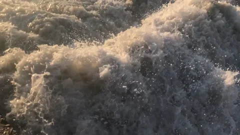 IMG 3313 Stock Footage 149958057