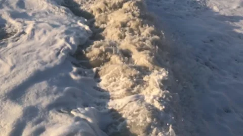 IMG 3315 Stock Footage 149958122