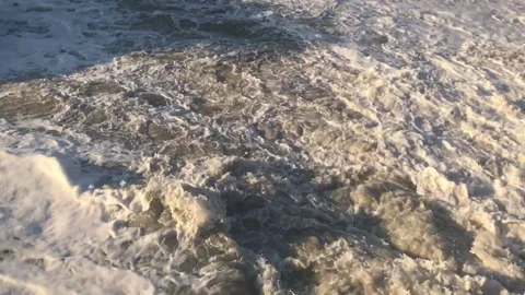 IMG 3317 Stock Footage 149958166