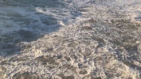 IMG 3318 Stock Footage 149958164