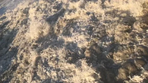 IMG 3319 Stock Footage 149958165