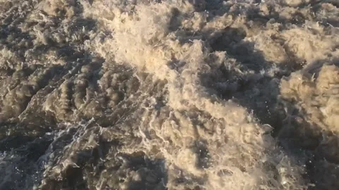 IMG 3320 Stock Footage 149958173