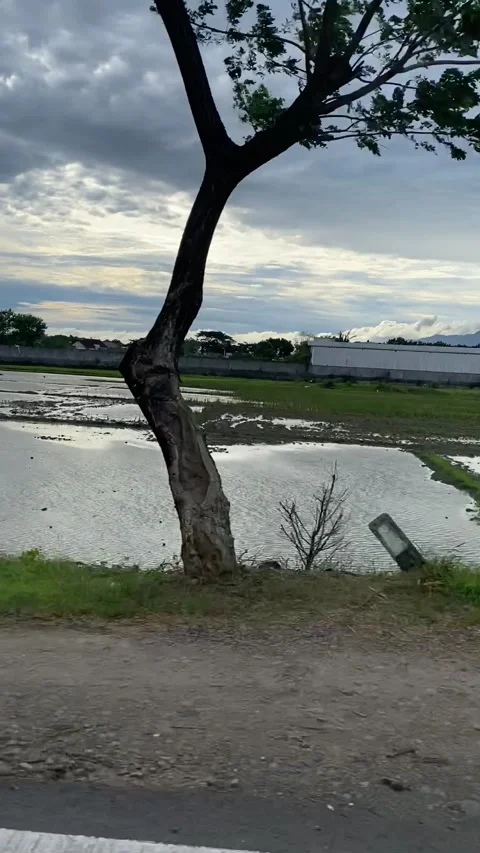 IMG 3430 Vídeo Stock 234253301