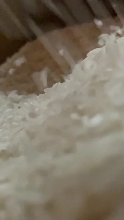 IMG 3573 Vídeo Stock 234260728