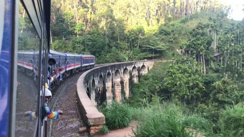 IMG 3813 Stock Footage 221803601