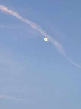 IMG 3831 库存照片