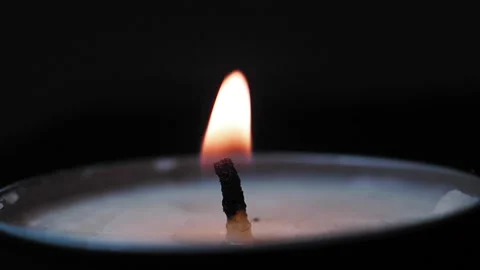 IMG 4065 Stock Footage 167023664