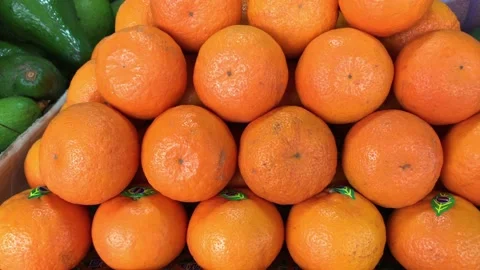 IMG 4098 Stock Footage 194471756