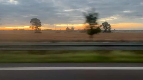 IMG 4278 Stock Footage 323069753